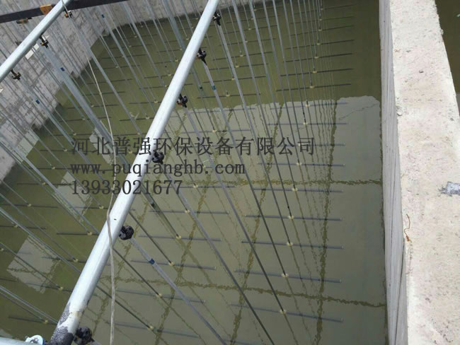 两管可提升曝气器现场.jpg